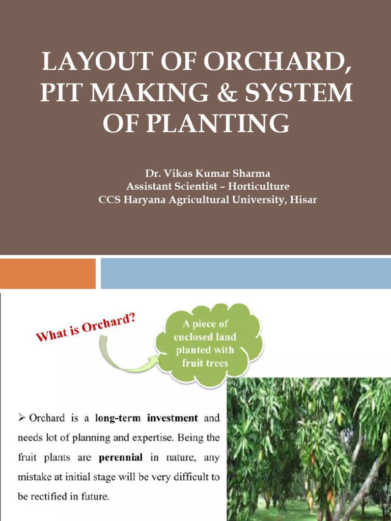 Orchard Layout and Planting Guide | PDF