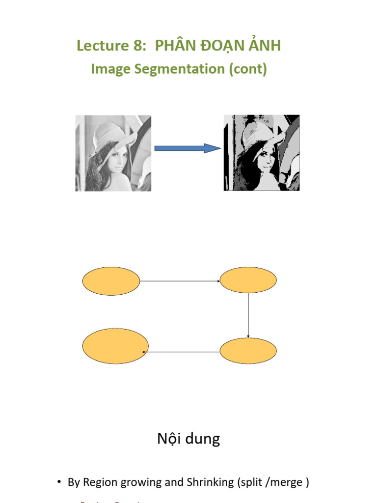 Image Segmentation Techniques Explained | PDF | Imaging | Image Processing