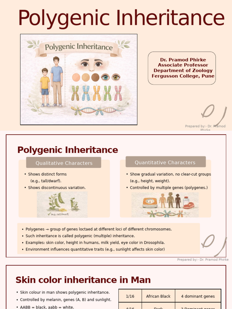 Understanding Polygenic Inheritance | PDF | Quantitative Trait Locus ...