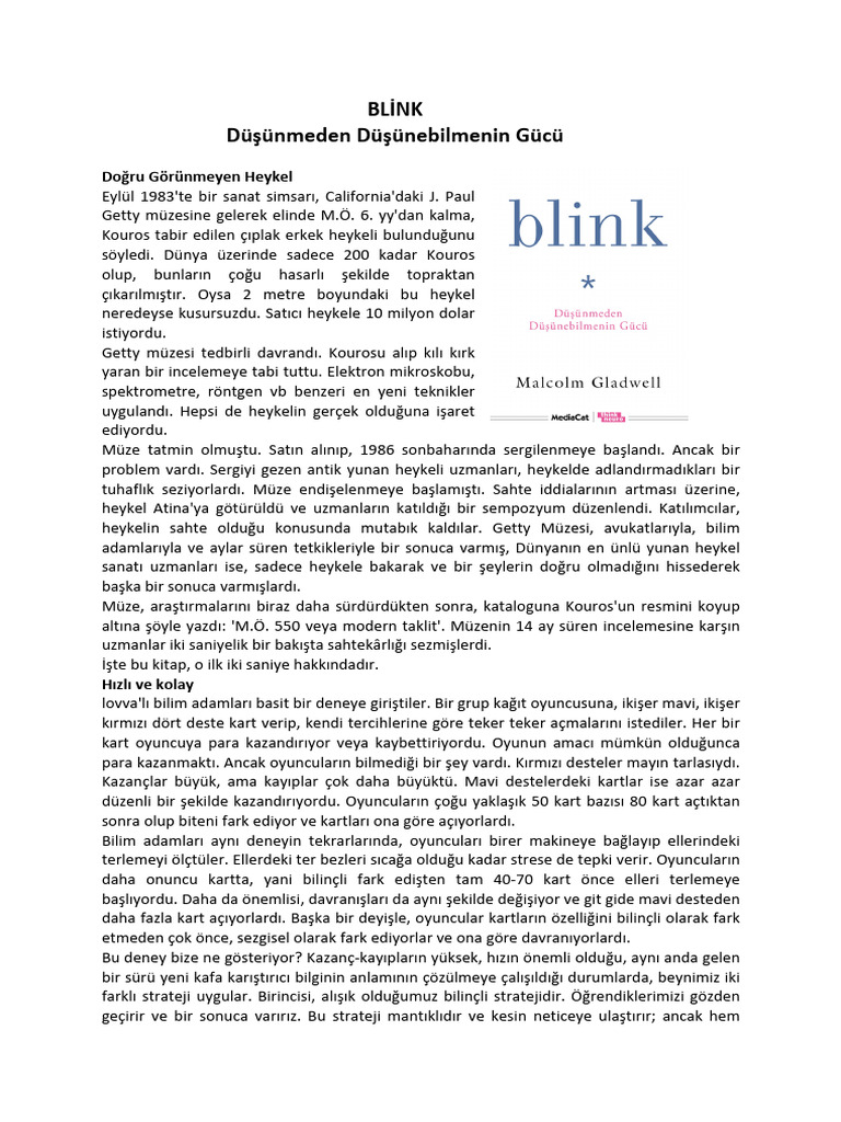 Blink | PDF