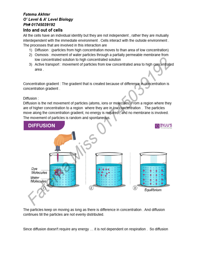 Diffusion - Into and Out of Cells | PDF | Diffusion | Biology