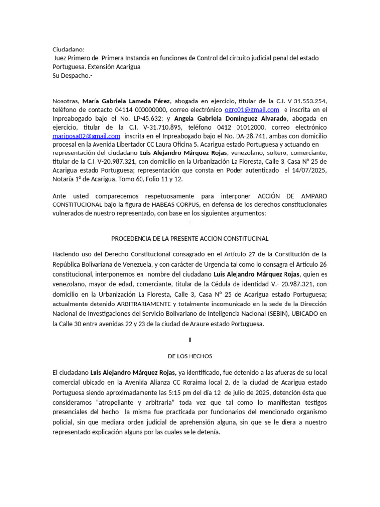 Amparo Constitucional HABEAS CORPUS | PDF | Habeas corpus | Ley común