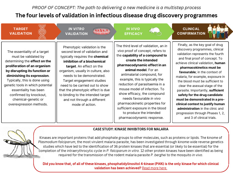 H3D Infographic - Four Levels of Validation | PDF | Malaria | Plasmodium