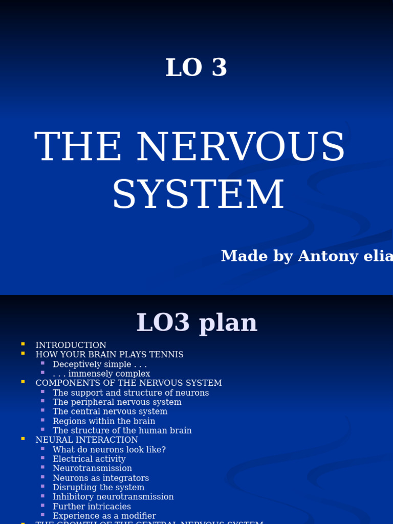 Lo3 | PDF | Nervous System | Neurotransmitter