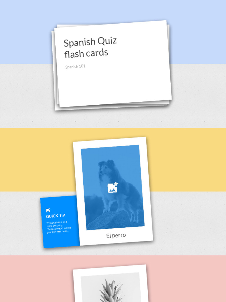 Flash cards | PDF
