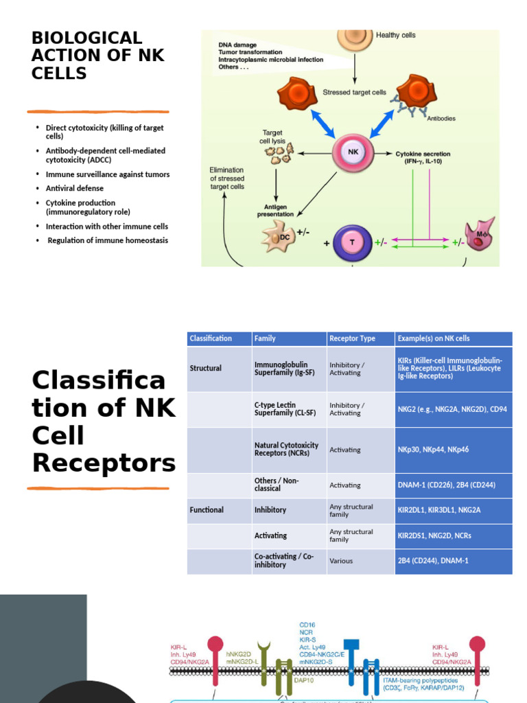 Signal Transduction of NK Cell | PDF