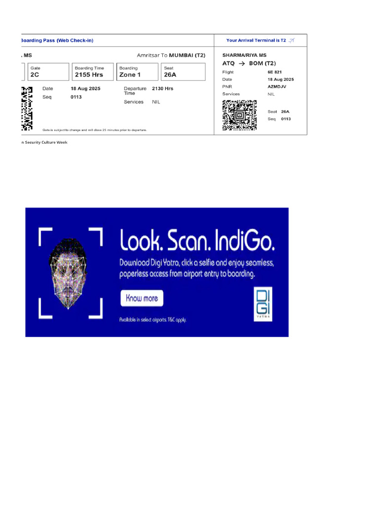 Boarding Pass | PDF