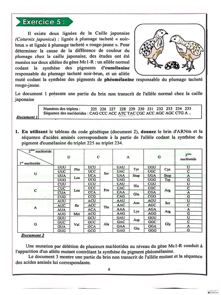 Correction Exercice 5 Unité 2 | PDF
