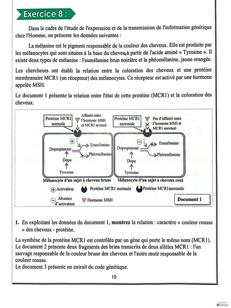 Correction exercice 8 unité 2 | PDF