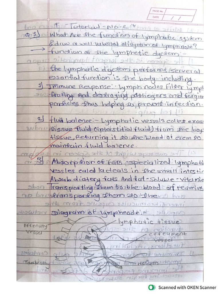 HAP Tutorial No. 2 | PDF
