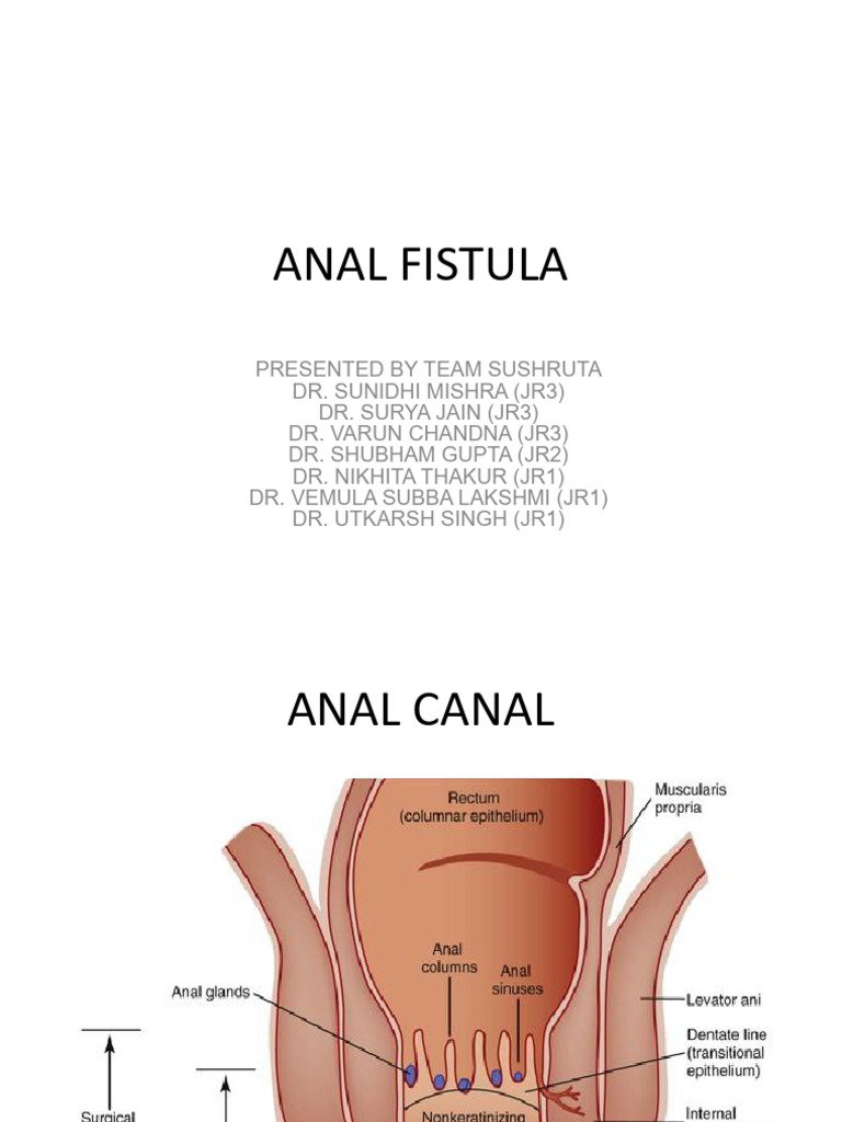 Anal Fistula | PDF | Medical Specialties