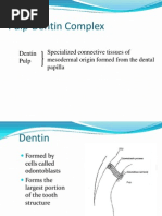 Download RestoDent Dentin-Pulp Complex by Zara Sebastianne Garcia SN98178917 doc pdf