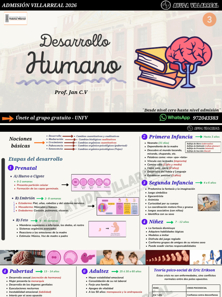 Etapas del Desarrollo Humano 2026 | PDF | Adultos | Ciencias del ...