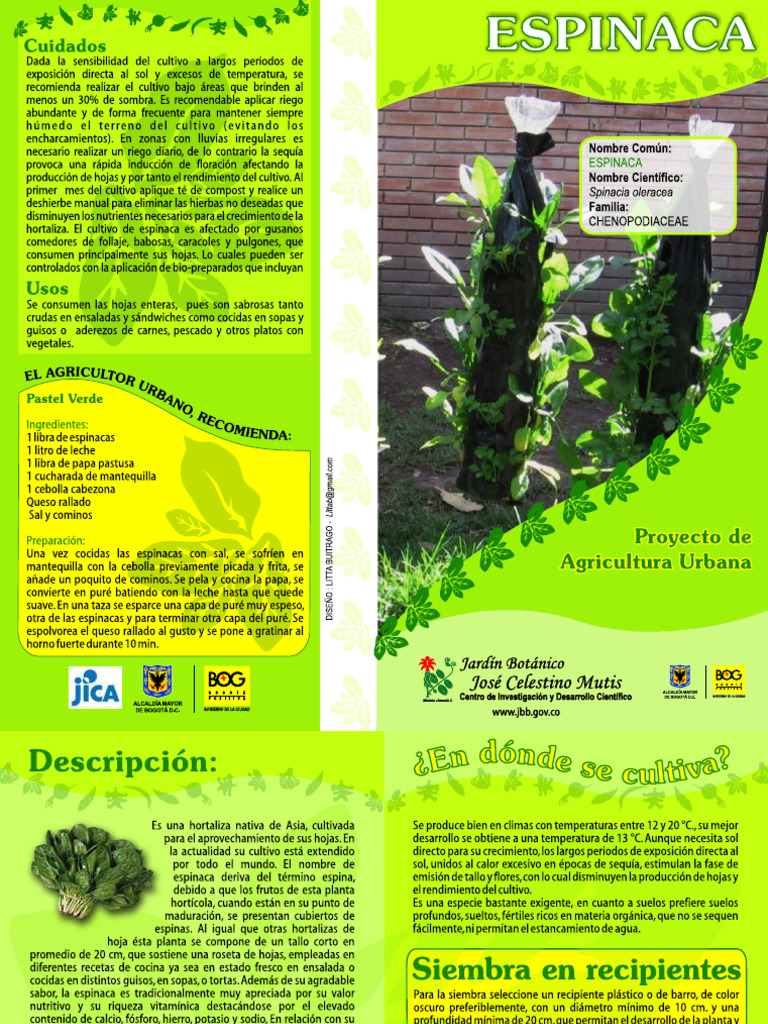 Espina CA | PDF