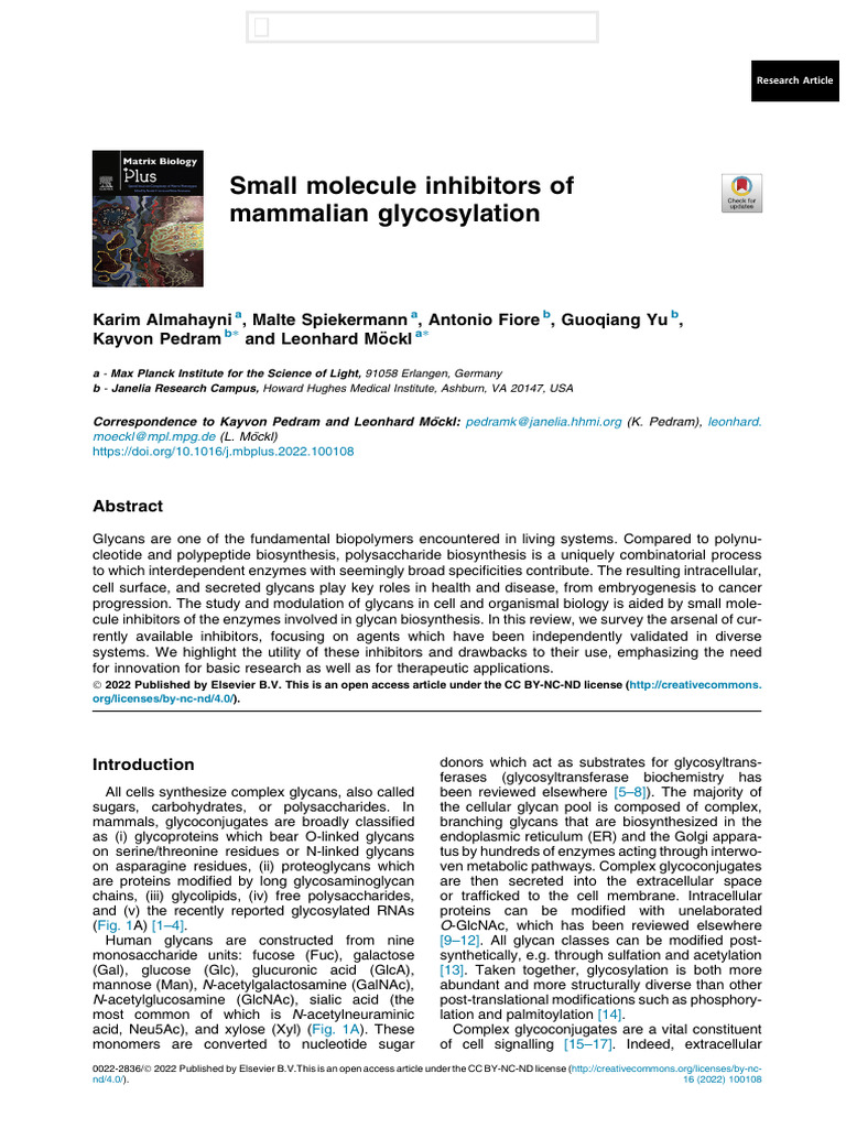 Small Molecule Glycosylation Inhibitors | PDF | Enzyme Inhibitor ...