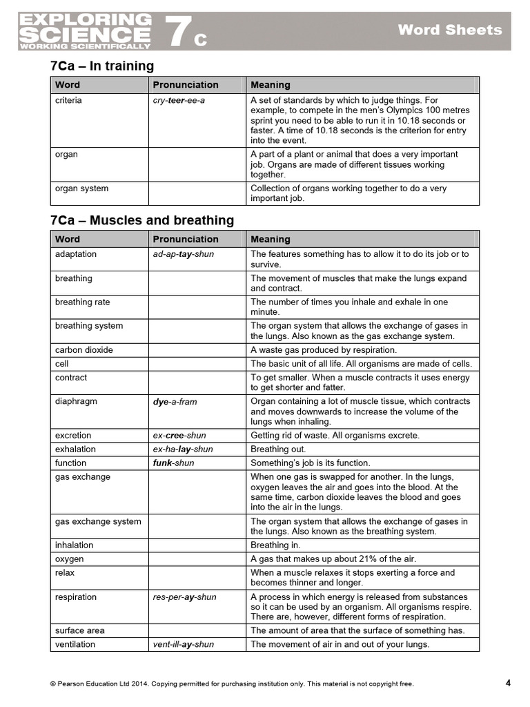 17026298993AV67_7c_word_sheets | PDF | Breathing | Blood