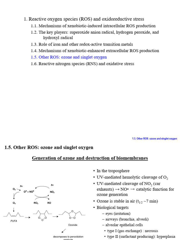 ROS and Oxidative Stress Mechanisms | PDF | Reactive Oxygen Species ...