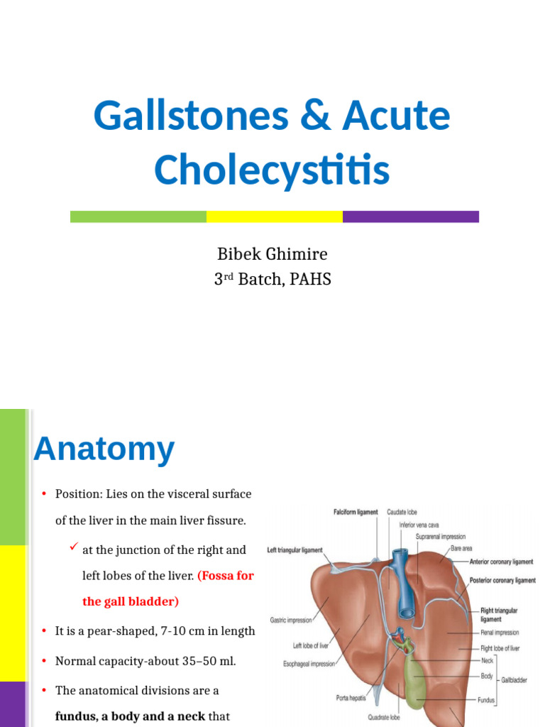 Gallstones and Acute Cholecystitis Overview | PDF | Gallbladder | Liver