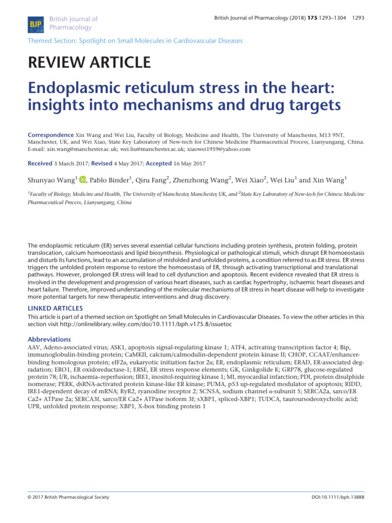 ER Stress in Heart Disease: Mechanisms & Targets | PDF | Apoptosis ...
