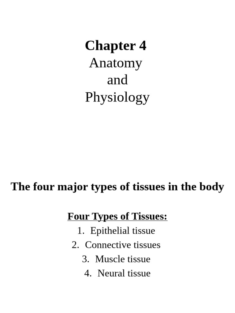 Types of Body Tissues Explained | PDF | Epithelium | Tissue (Biology)