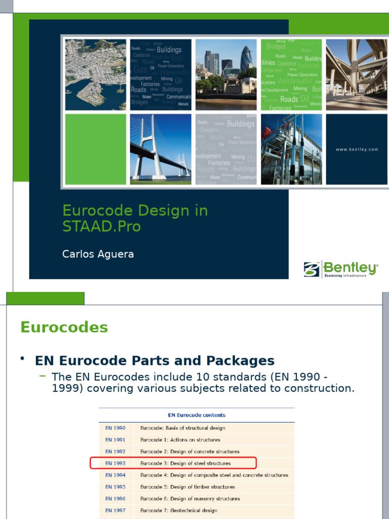 Eurocode 3 Steel Design in STAAD.Pro | PDF | Buckling | Beam (Structure)