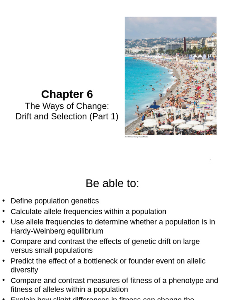 Population Genetics and Hardy-Weinberg | PDF | Zygosity | Allele