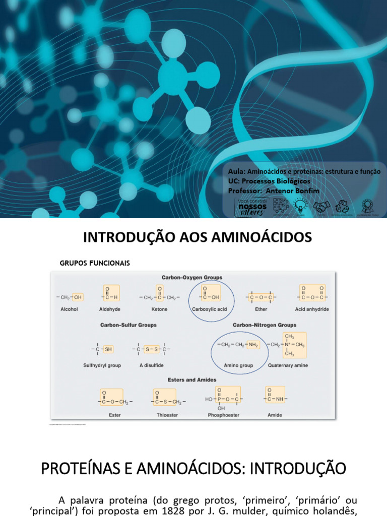 Estrutura e Função de Aminoácidos e Proteínas | PDF | Proteínas ...