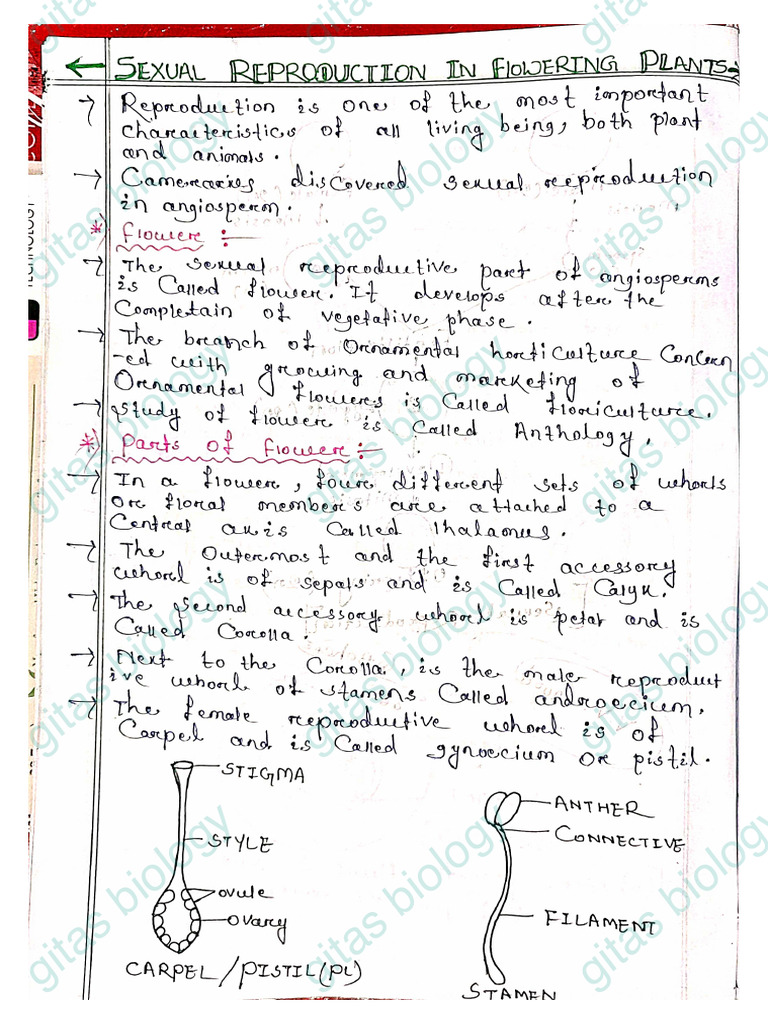 Sexual Reproduction in Flowering Plants Note Class 12(Botany) | PDF