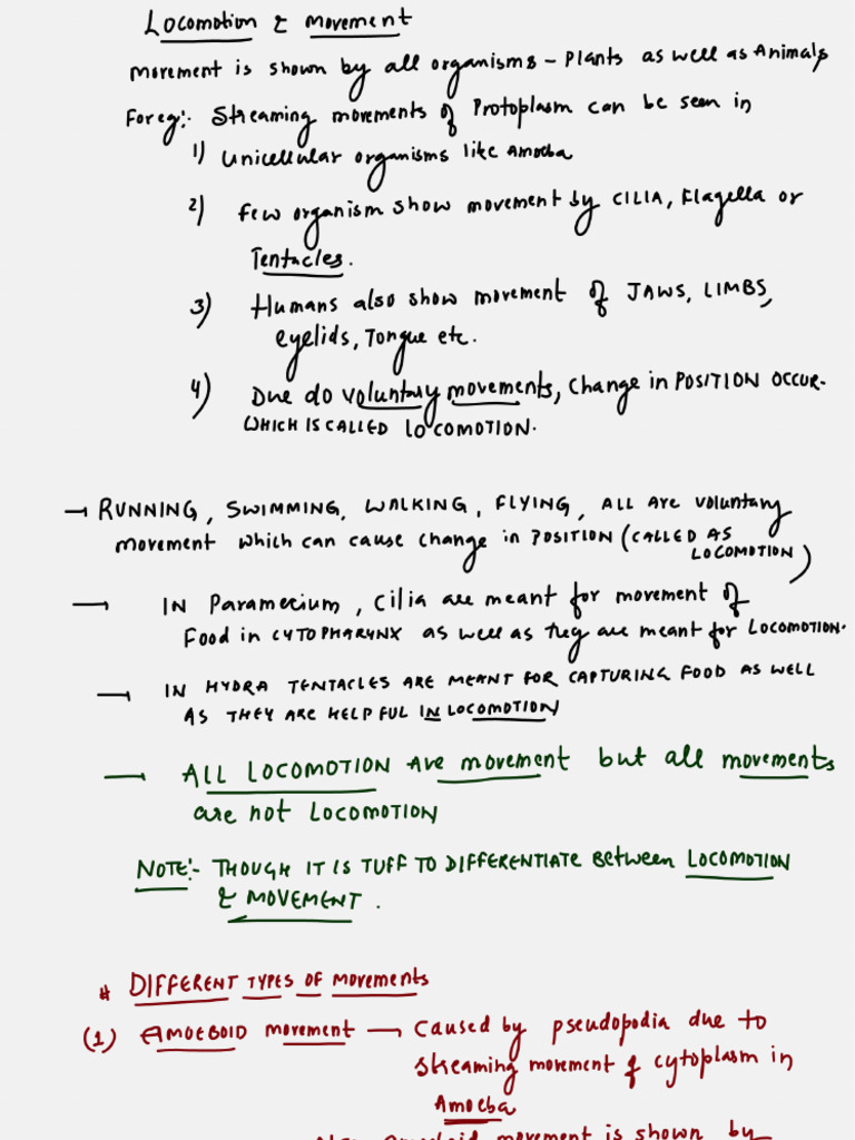 Locomotion Complete Notes | PDF