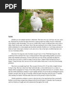 Rabbit Showmanship Study Guide | PDF | Rabbit | Mammals