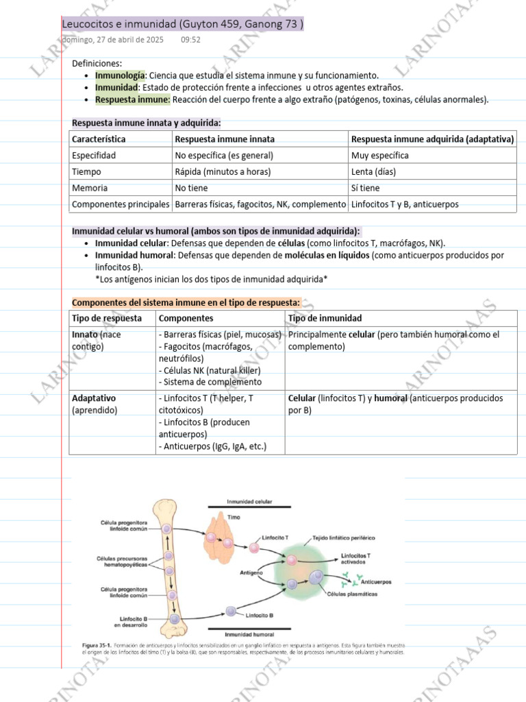 Leucocitos e Inmunidad | PDF | Sistema inmune | Inflamación