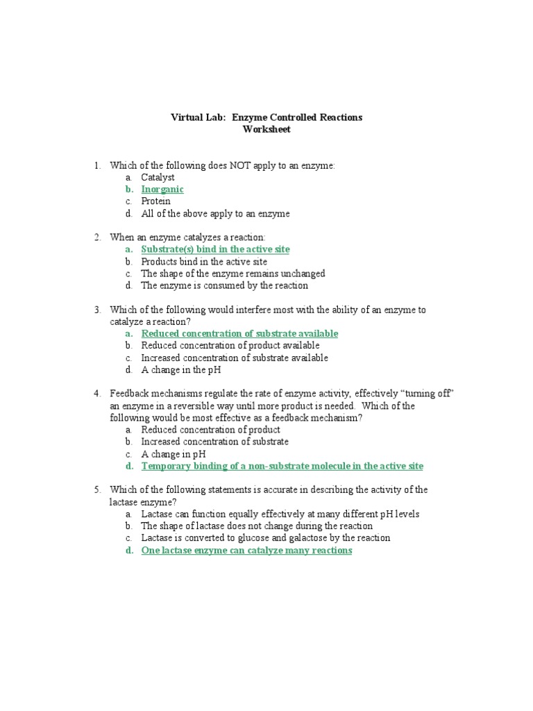 Richard Kilgo Enzyme Controlled Reactions Worksheet Product Chemistry Enzyme