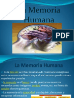 Memoria Humana