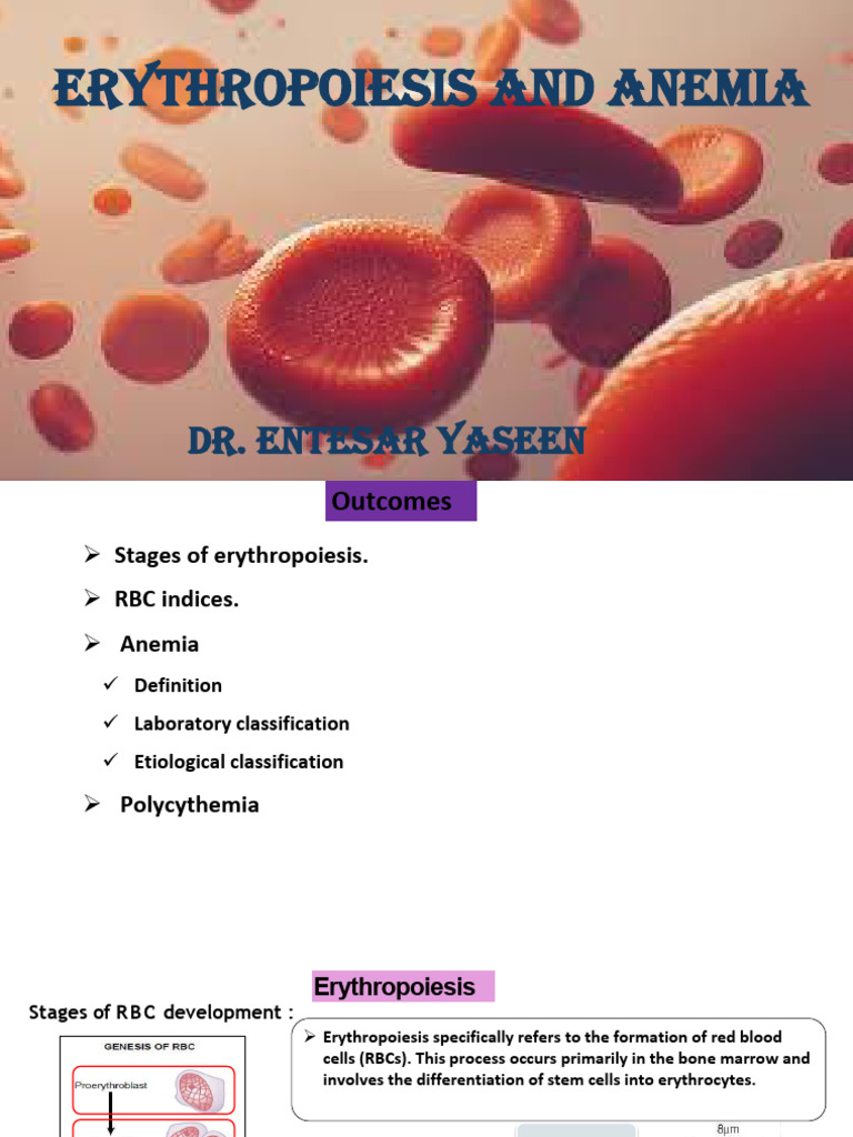 Erythropoiesis and Anemia Overview | PDF | Anemia | Red Blood Cell