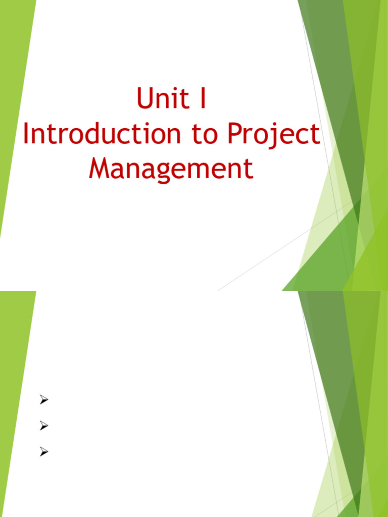 Project Management Basics Explained | PDF | Project Management | Business