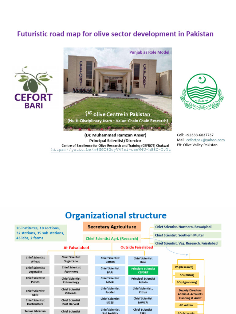 Futuristic Road Map For Olive Sector Development in Pak | PDF ...