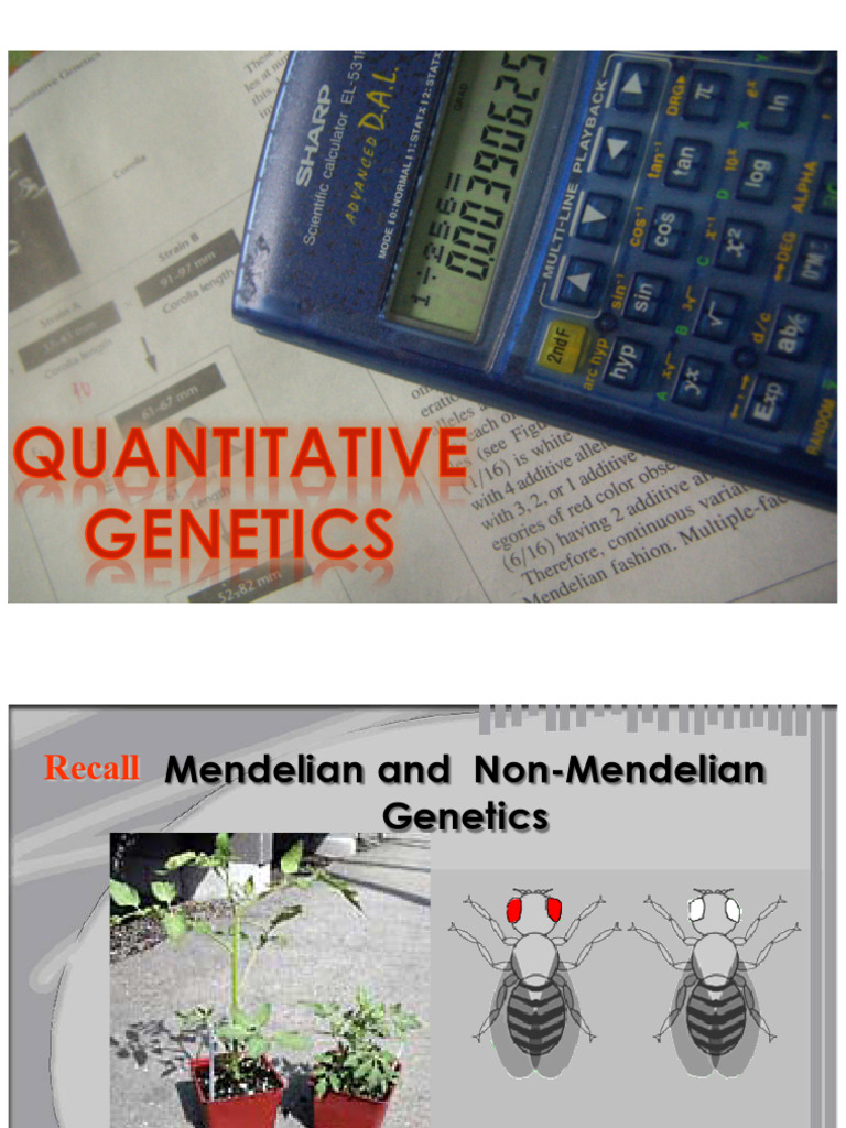 Understanding Quantitative Inheritance | PDF | Heredity | Quantitative ...