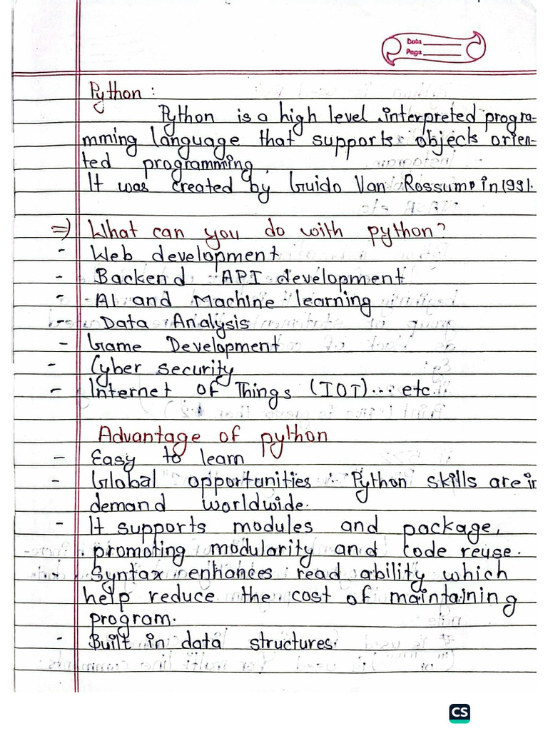 Class 9 Python | PDF