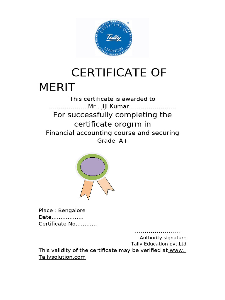 Financial Accounting Certificate A+ | PDF