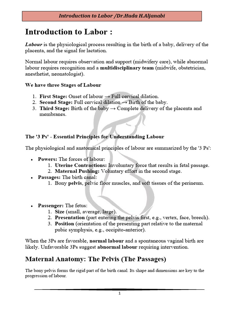 Understanding Labor Stages and Anatomy | PDF | Pelvis | Childbirth