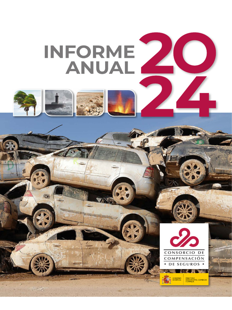 00 - Informe Anual 2024 Ccs - Vok | PDF | Seguro | Reaseguro