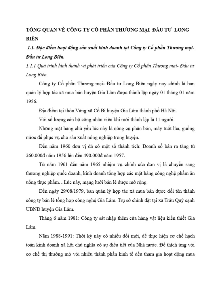 (123doc) Tong Quan Ve Cong Ty Co Phan Thuong Mai Dau Tu Long Bien | PDF