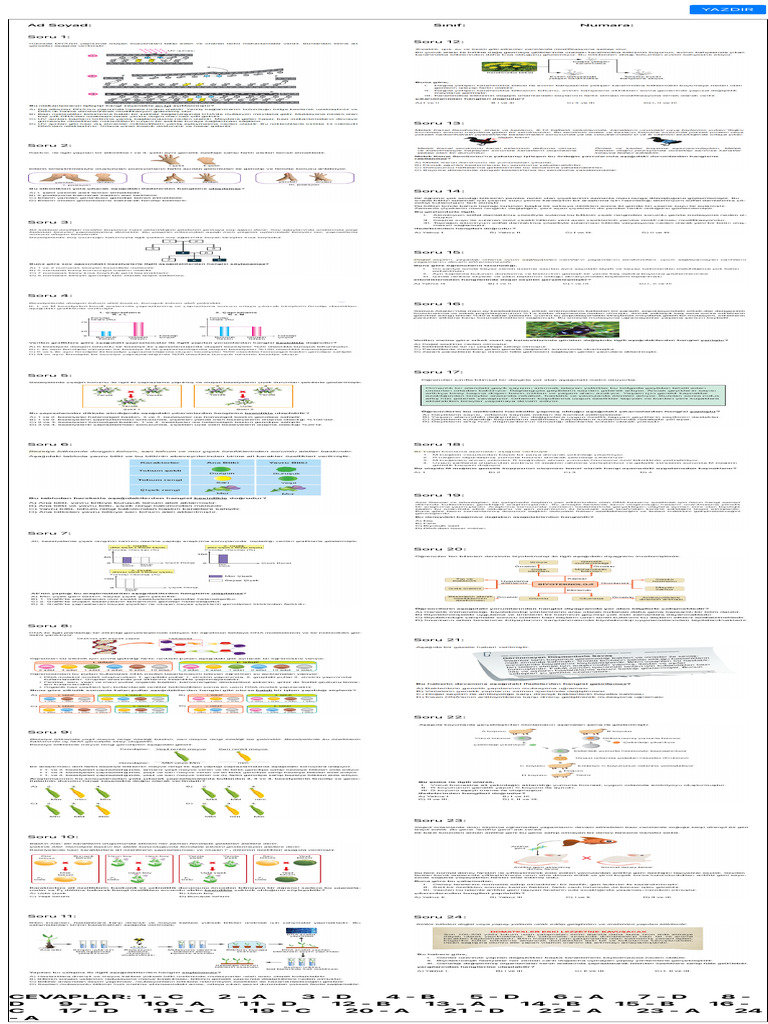 ? Dna | PDF