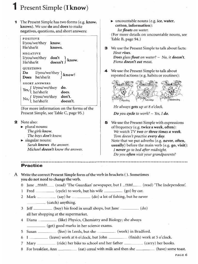 Basic Review Present and Past S-c-perf | PDF