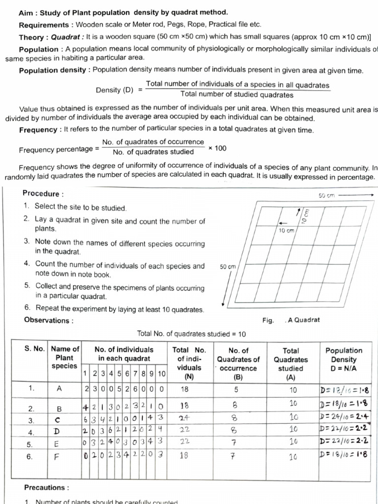 Quadrat Method for Plant Density Study | PDF | Numbers