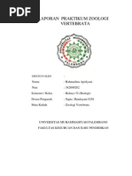 Download Laporan Praktikum Zoologi Baruuvertebrata Dinnnaaaaa by Mirsya Riyadiani William SN98204801 doc pdf