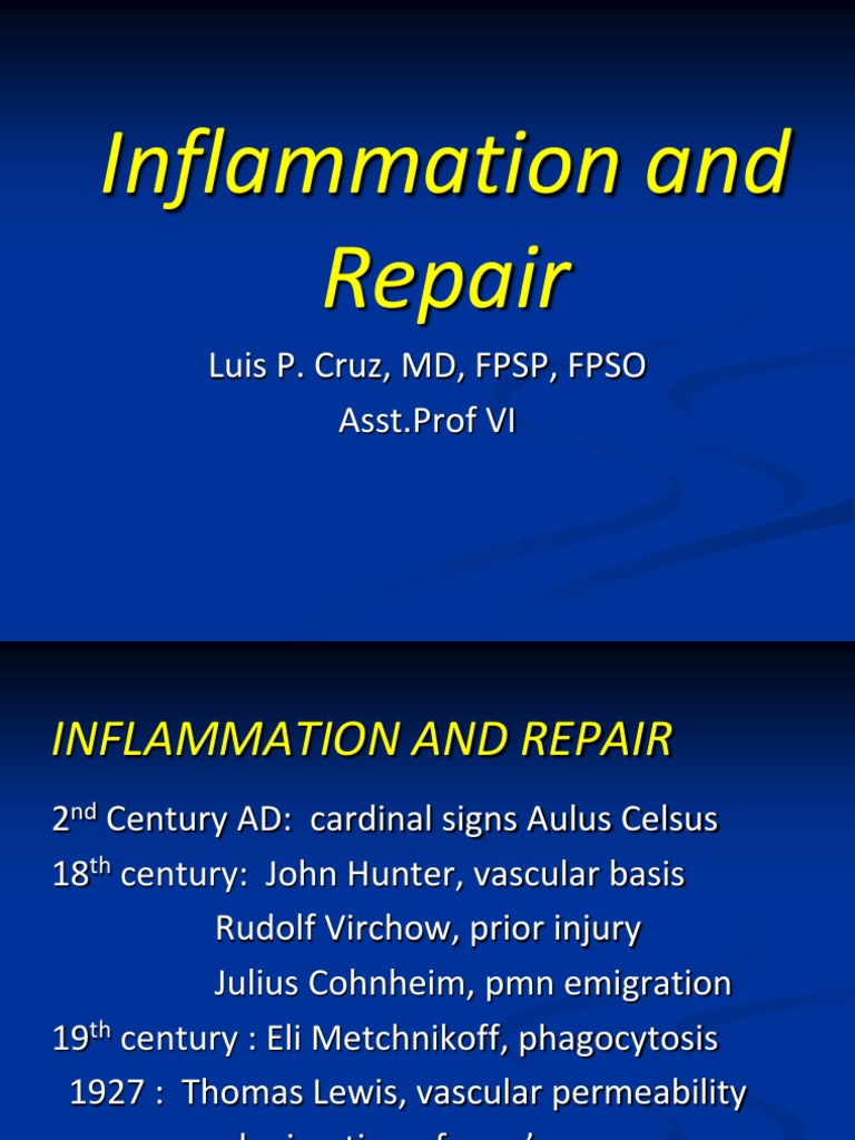 2 - Inflammation and Repair (Edited Ver) | PDF | Wound Healing | Healing