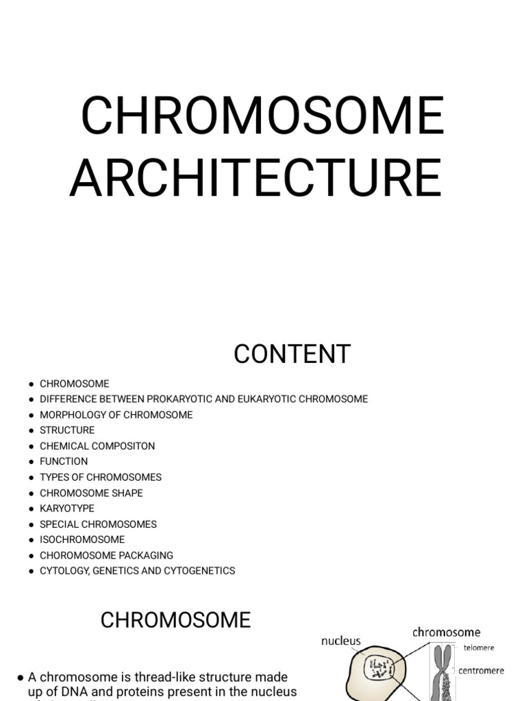 Understanding Chromosome Structure and Types | PDF | Histone | Chromosome