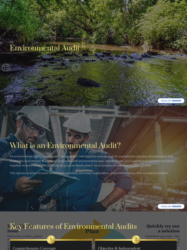 Environmental Audit | PDF