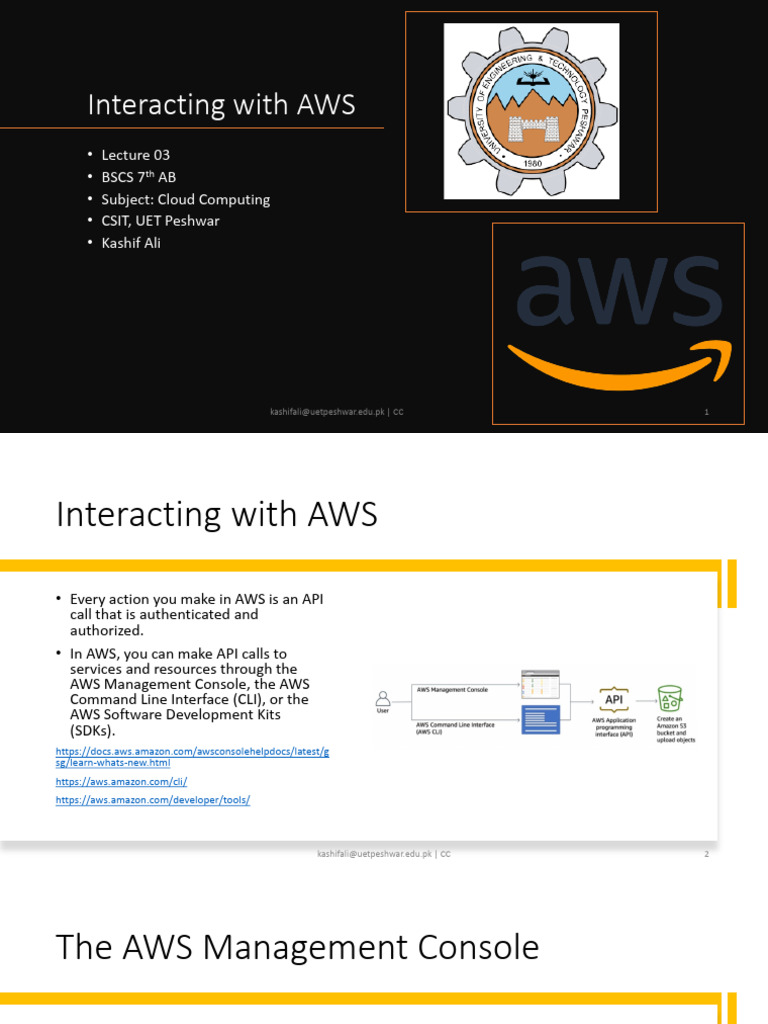 Interacting with AWS: API Calls Guide | PDF